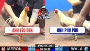 Trận 26 CPC2 15/12/2024 - Anh Phu Phu Thua 2 - 1 Trước Anh Tèo Đen