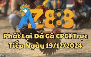 Xem Full Video Đá Gà Trực Tiếp CPC1 Ngày 19/12/2024