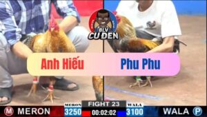 Trận 23 CPC2 05/01/2025 Cọp Idol Phu Phu Thiếu Chút May Mắn Về Nhì