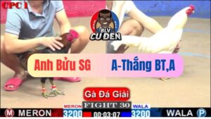 Trận 30 CPC1 18/01/2025 Tranh Giải Nhì Đá Ác Quá 2 Con Bóp Kinh