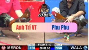 Trận 17 CPC2 22/01/2025 Idol Phu Phu lụm Được Cái Bóp