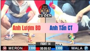 Trận 14 CPC3 23/01/2025 Bổn Úa Xổ lớn Cánh Anh Tấn CT Đâm Kinh