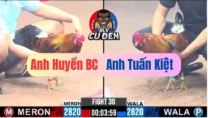 Trận 30 CPC3 31/12/2024 Mẻ Số 1 Idol Duyên Ty Đâm Như Súng Bắn