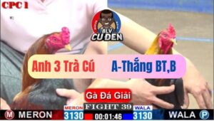 Trận 39 CPC1 16/01/2025 Đúng Gừng Càng Già Càng Cay Phản 5 Lai Hại Não