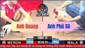 Trận 12 CPC3 07/03/2025 Bướm Có Chân Mệnh Thiên Tử Đá Hại Người Hại Gà