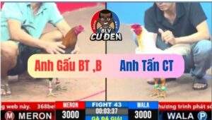 Trận 43 CPC3 08/03/2025 Trận Chung Kết C3 Hôm Nay Quá May Mắn Chân ..