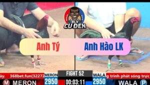 Trận 52 CPC3 17/03/2025 Gà Que Chơi Chiêu Như Lai Thần Chưởng Cái Về