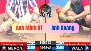 Trận 15 CPC3 19/03/2025 Ẩu Tả Nạp Hụt Chân Bị Tán Lại cây Lật Xe Bò