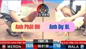 Trận 36 CPC3 19/03/2025 Máy Chém Về May Phút Cuối 1 Nhịp Chân Cuối