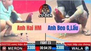 Trận 23 CPC3 21/03/2025 Gà Điều Chân Trắng Canh Chặn 2 Chân Nổi Bản