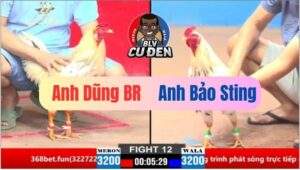 Trận 12 CPC2 21/03/2025Dũng Bà Rịa Trả Thù Trận Thứ 3 Vẫn Thất Bại