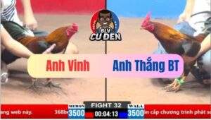 Trận 32 CPC2 21/03/2025 Anh Thắng Bến Tre Chụp Siết Quá Siết Bá Vô Hư