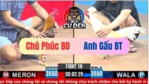 Trận 18 CPC3 08/03/2025 Bò Điên Hút Nhau Xem Xướng Cả Con Mắt Anh Em