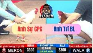 Trận 26 CPC3 08/03/2025 Bổn Xám Tự Giận Không Biết Đường Về Chân Tự Xử