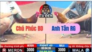 Trận 42 CPC3 08/03/2025 Chú Phúc Bình Dương Rơi 3 Điểm C...