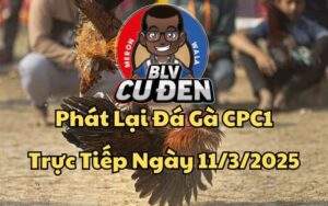 Xem Full Video Đá Gà Trực Tiếp CPC1 Ngày 11/03/2025