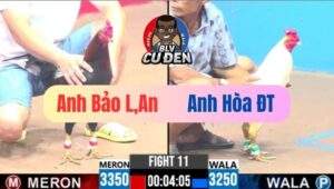 Trận 11 CPC3 11/04/2025 Úa Chân Xanh Làm Anh Mất Ngủ Chỉ Sau 2 Chân