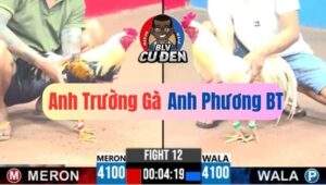 Trận 12 CPC3 11/04/2025 Đúng Bướm Đậu Cành Cây Chuối Không Đường Ra
