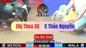 Trận 38 CPC1 10/04/2025 Hắc Bạch Công Tử Đụng Nhau Chỉ Vài Tay Nước