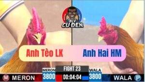 Trận 23 CPC3 17/04/2025 Điều Cắt Mồng Lá Ra Nhảy Mấy Nốt Nhạc Lụm Tiền
