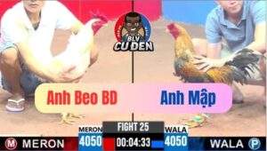 Trận 25 CPC3 17/04/2025 Tội Cho Gà Úa Dính Vô Ăn Cây Cựa Cái Hết Sữa