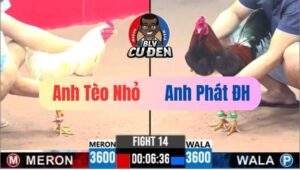 Trận 14 CPC3 11/04/2025 Úa Đá Điều Không Khều Củng Chết