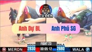 Trận 23 CPC3 11/04/2025 Cánh Dự Bảo Lộc Đem Cọp Ra Dí Bạc Dính Xương