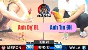 Trận 28 CPC3 11/04/2025 Bướm Hiệu Dự Bảo Lộc Củng Phải Chịu Chết Thui