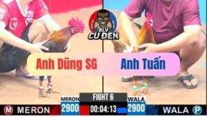 Trận 6 CPC3 13/04/2025 Mặt Hàng Tốc Độ Ra Sân Chỉ 2 Chân Phá Hư Hình