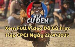 Xem Full Video Đá Gà Trực Tiếp CPC1 Ngày 22/04/2025