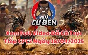 Xem Full Video Đá Gà Trực Tiếp CPC3 Ngày 18/04/2025