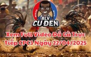 Xem Full Video Đá Gà Trực Tiếp CPC3 Ngày 22/04/2025