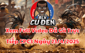 Xem Full Video Đá Gà Trực Tiếp CPC3 Ngày 23/04/2025