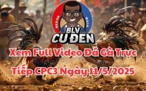 Xem Full Video Đá Gà Trực Tiếp CPC3 Ngày 11/05/2025