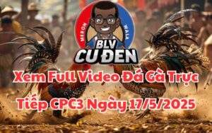 Xem Full Video Đá Gà Trực Tiếp CPC3 Ngày 17/05/2025