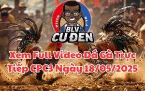 Xem Full Video Đá Gà Trực Tiếp CPC3 Ngày 18/05/2025