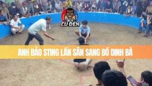 Anh Bảo Sting Đã Có Mặt Tại Bồ Dinh Bà - Đồng Tháp Ngày 21/6/2025