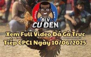 Xem Full Video Đá Gà Trực Tiếp CPC1 Ngày 10/06/2025