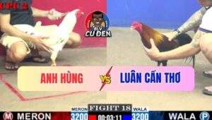 Trận 18 CPC2 4/7/2025 - Bướm Anh Hùng Ra Đòn Điều Né Cỡ Nào Cũng Dính