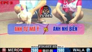 Trận 25 CPC2 4/7/2025 - Gà Điều Anh Nhí Tắt Điện Sau Vài Đường Quyền