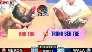 Trận 3 CPC2 4/7/2025 - Điều Đỏ Bay Qua Bay Lại Bị Điều Xanh Bắn Hạ