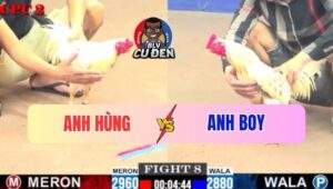 Trận 8 CPC2 4/7/2025 - Gà Bướm Mai Độ Có Chân Xạo Lờ Cứu Chủ