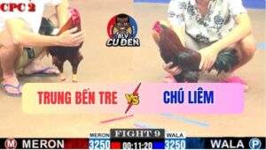 Trận 9 CPC2 4/7/2025 - Xanh Bông Chú Liêm Gục Ngã Sau 1 Chân Định Mệnh