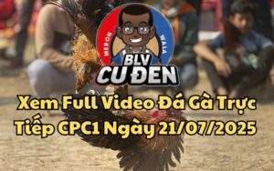 Xem Full Video Đá Gà Trực Tiếp CPC1 Ngày 21/07/2025