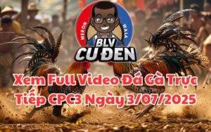 Xem Full Video Đá Gà Trực Tiếp CPC3 Ngày 03/07/2025